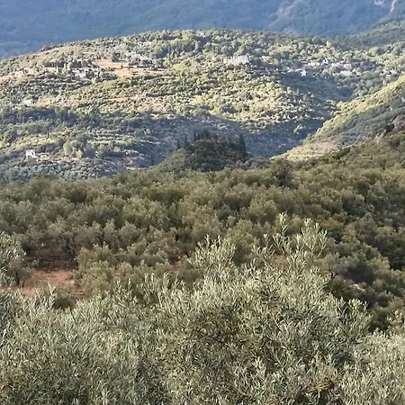 Natura Olive & Sea Βίλα